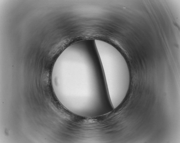 X0000103310451200808291156