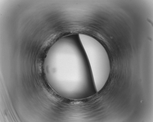 X0000103310452200808291156