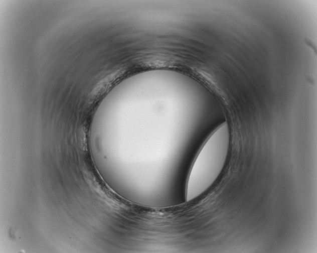 X0000103310453200808291156