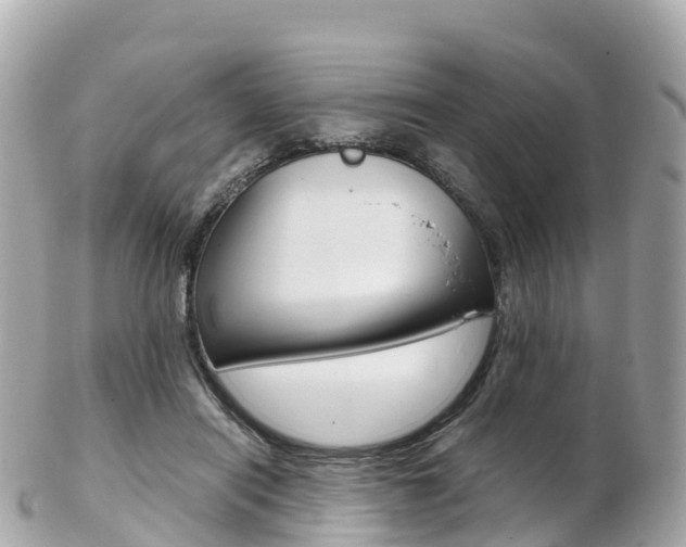 X0000103310454200808291156