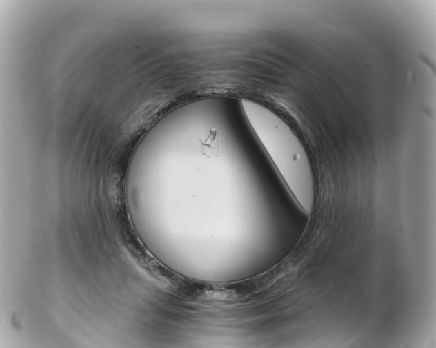 X0000103310455200808291156