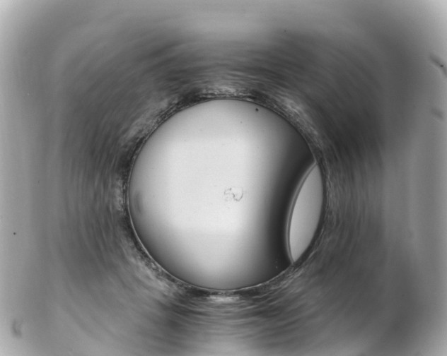 X0000103310457200808291156