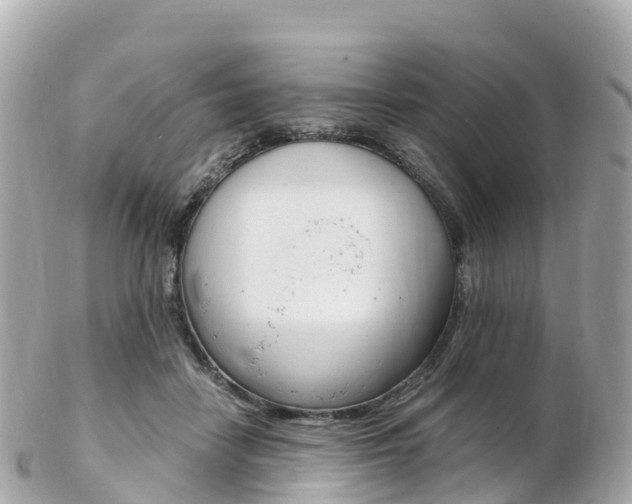 X0000103310458200808291156