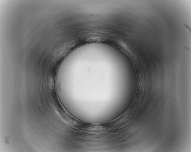 X0000103310459200808291156