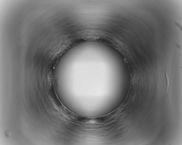 X0000103310460200808291156
