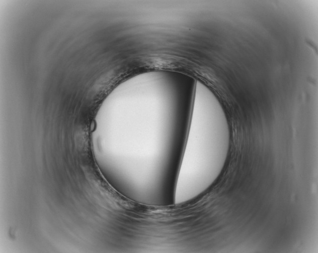 X0000103310461200808291156