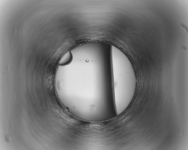 X0000103310462200808291156