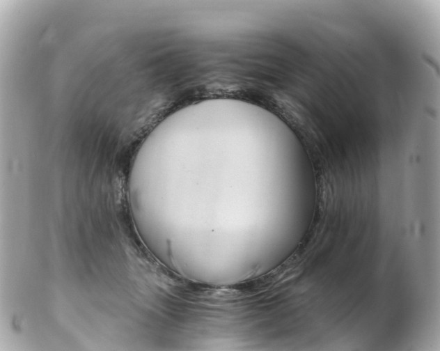 X0000103310463200808291156