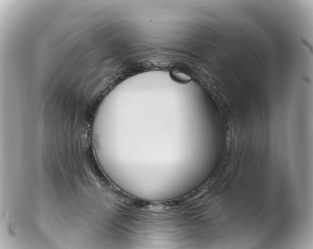 X0000103310464200808291156