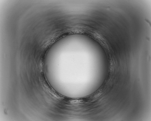 X0000103310465200808291156