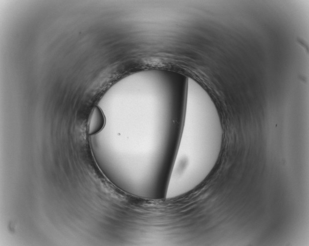 X0000103310466200808291156