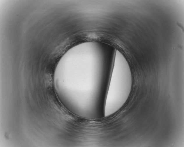 X0000103310467200808291156