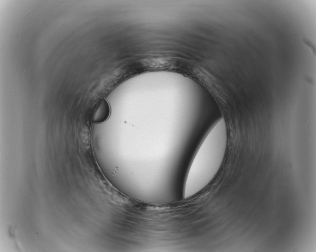 X0000103310469200808291156