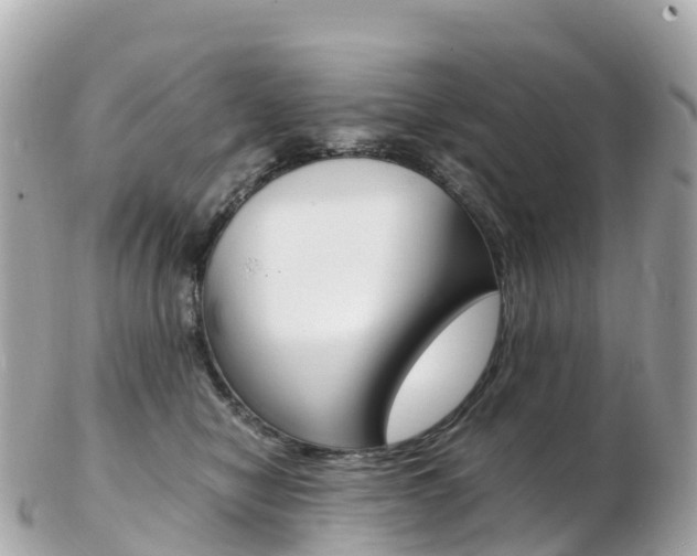 X0000103310470200808291156