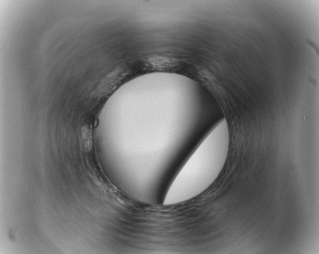 X0000103310471200808291156