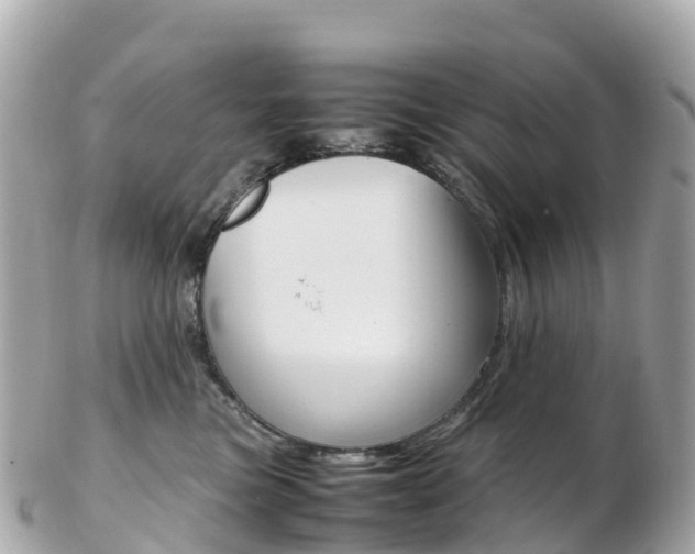 X0000103310473200808291156
