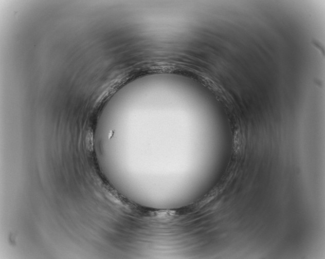 X0000103310474200808291156