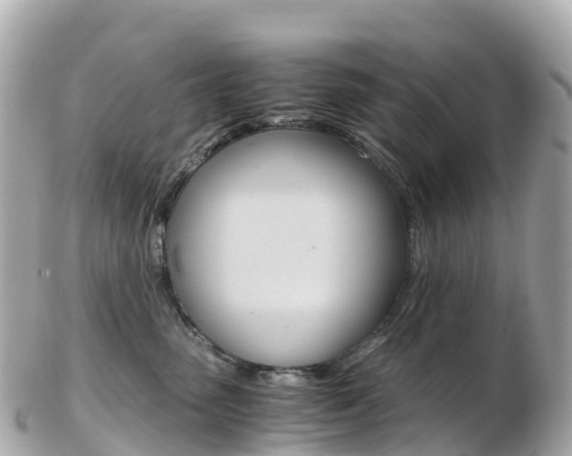 X0000103310475200808291156