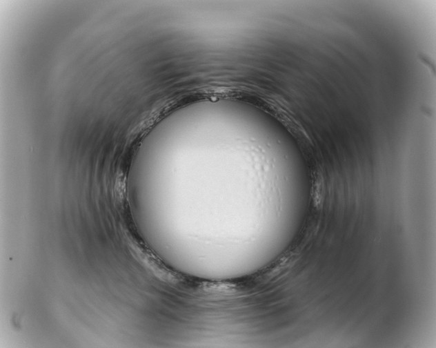 X0000103310476200808291156