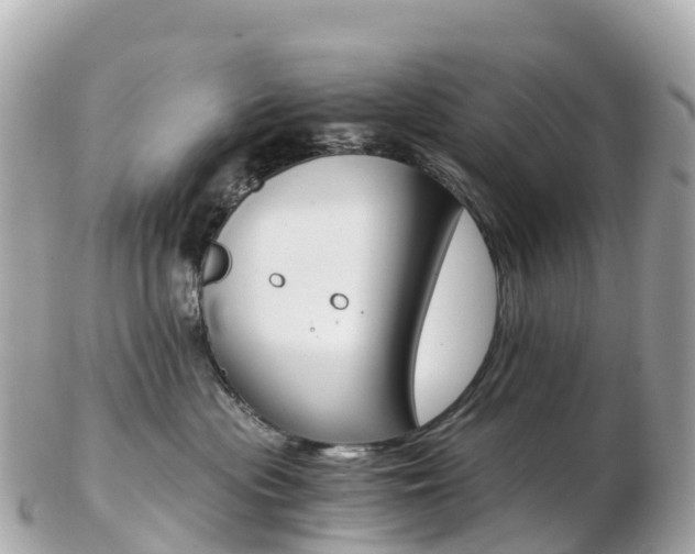 X0000103310477200808291156