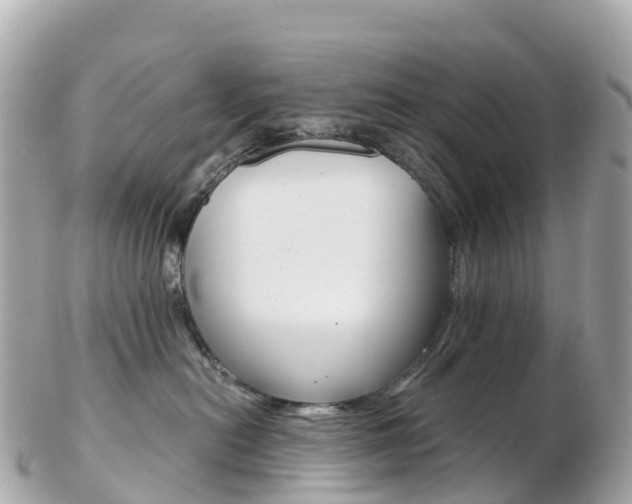 X0000103310478200808291156