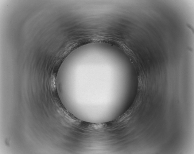 X0000103310479200808291156