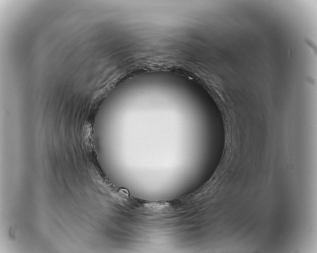 X0000103310480200808291156