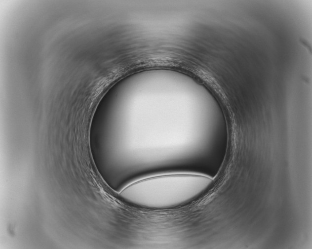 X0000103310481200808291156
