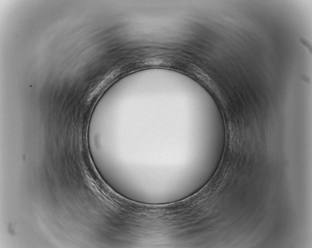 X0000103310482200808291156