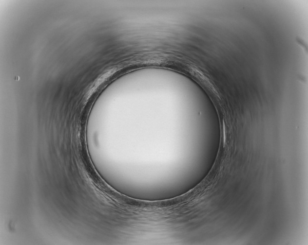 X0000103310483200808291156