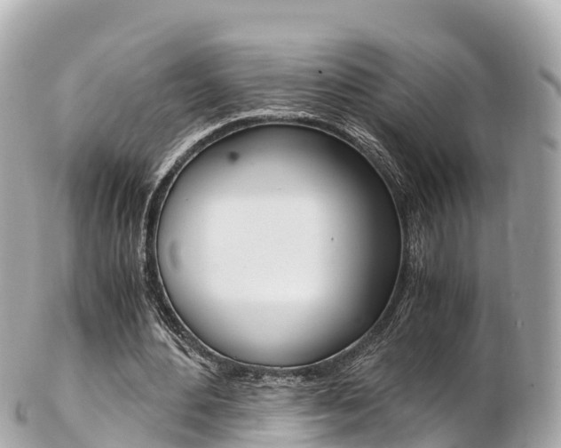 X0000103310484200808291156