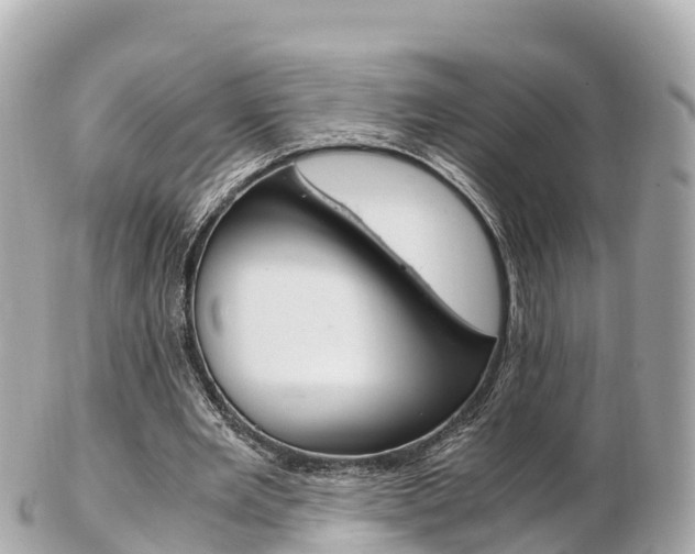X0000103310485200808291156