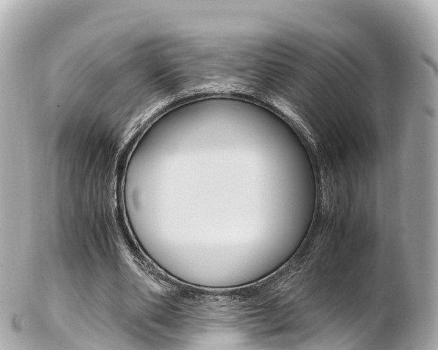 X0000103310486200808291156