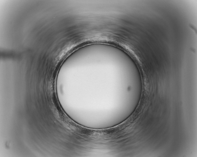 X0000103310487200808291156