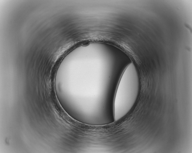X0000103310488200808291156