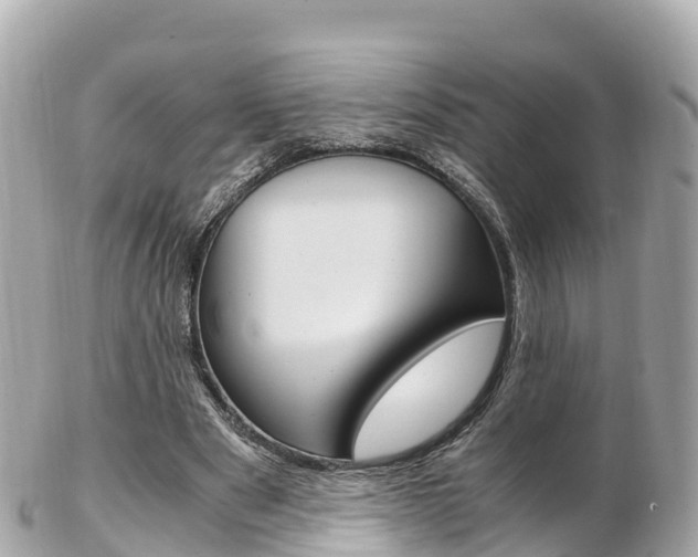 X0000103310489200808291156