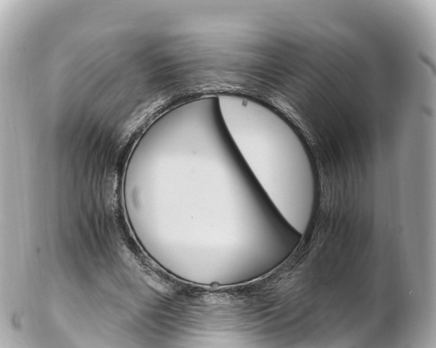X0000103310490200808291156