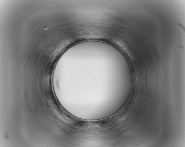 X0000103310491200808291156