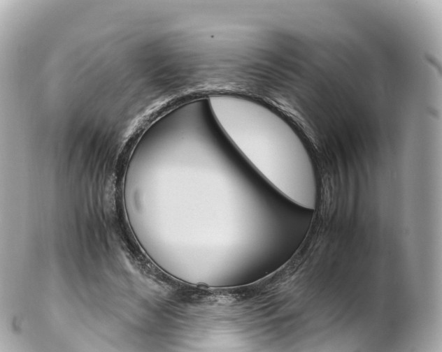 X0000103310492200808291156