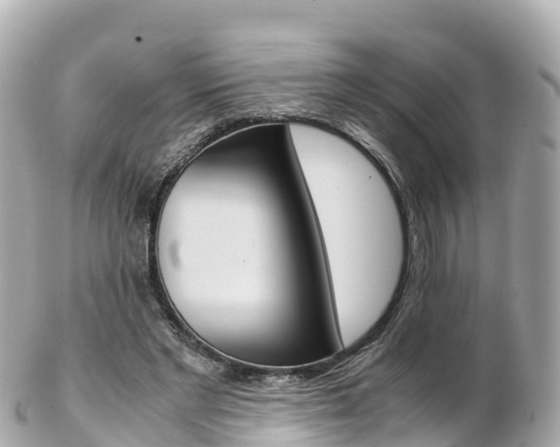 X0000103310493200808291156