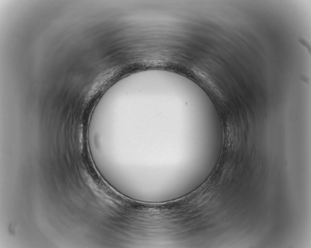 X0000103310494200808291156