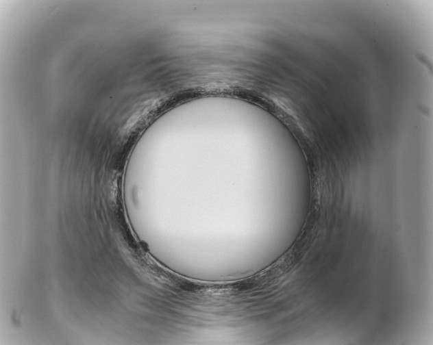 X0000103310495200808291155