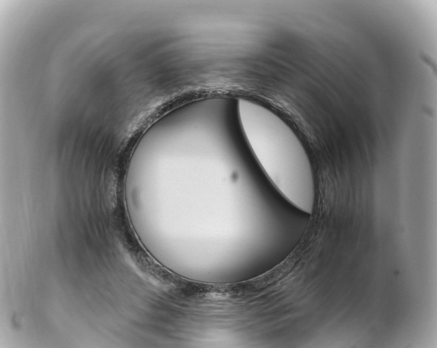 X0000103310496200808291155