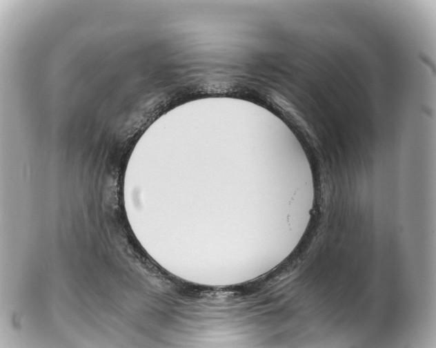 X0000103310497200808291155