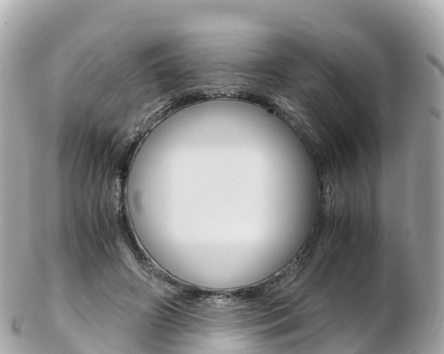 X0000103310498200808291155