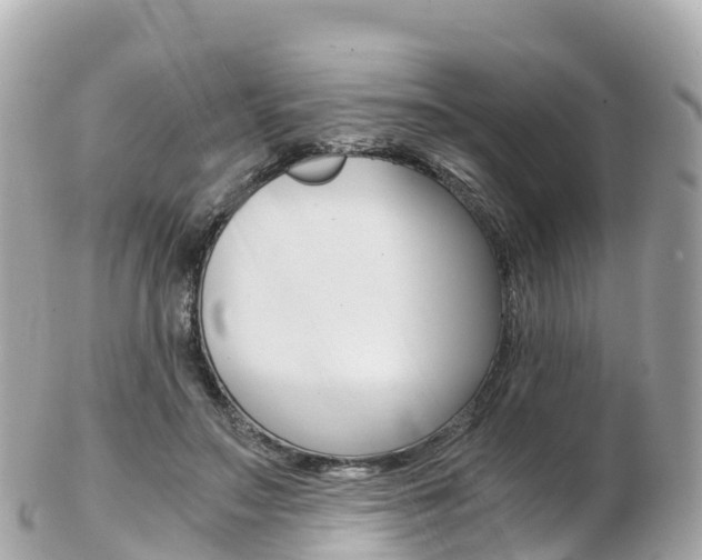 X0000103310499200808291155