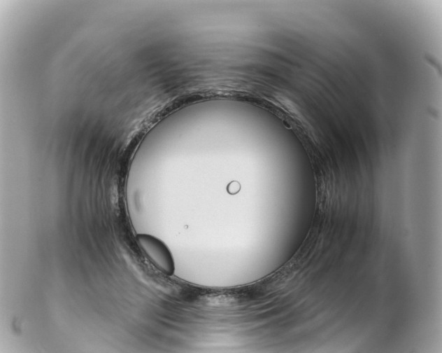 X0000103310500200808291155
