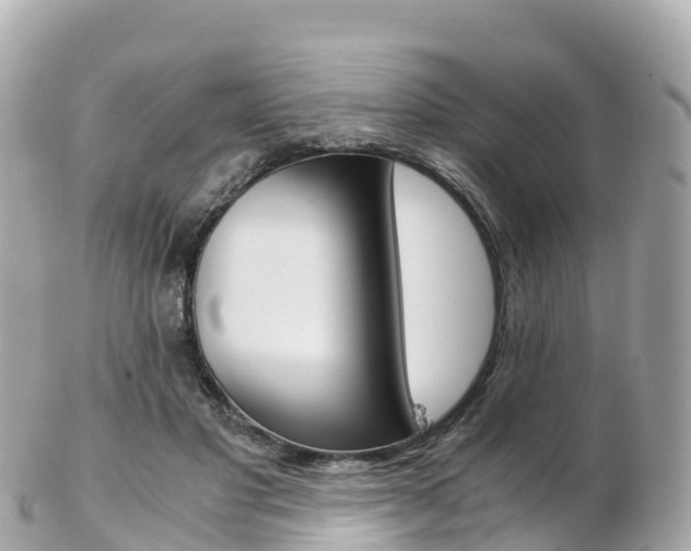 X0000103310501200808291155