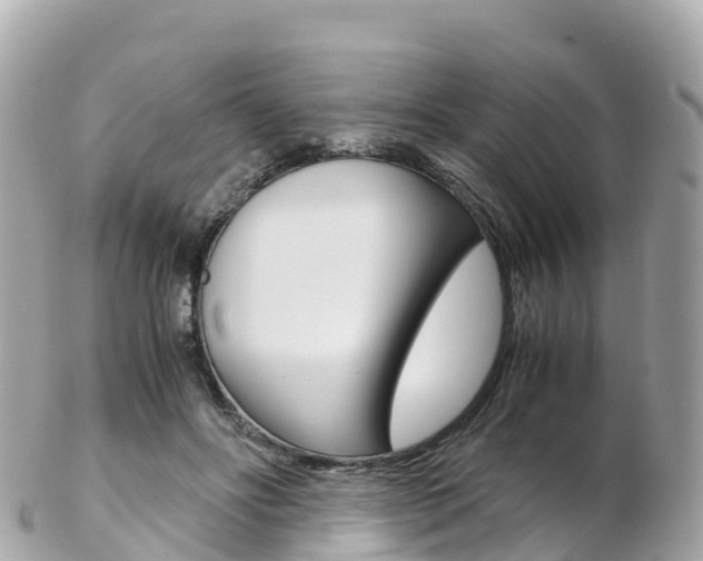 X0000103310502200808291155