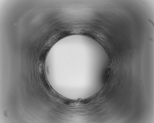 X0000103310503200808291155